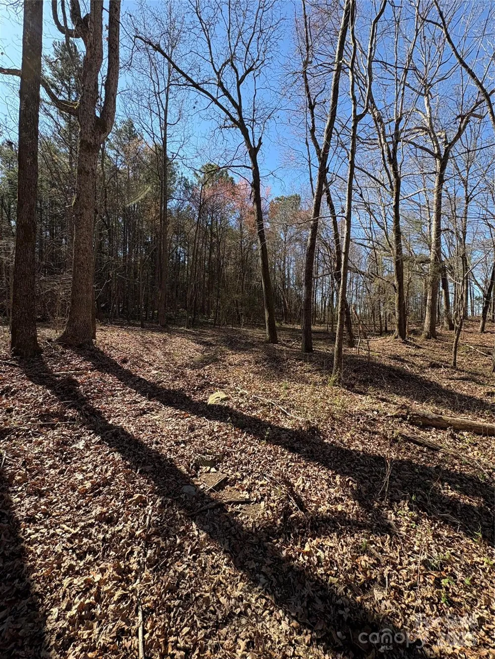 1417 Ellis Griffin Road Wingate, NC 28174