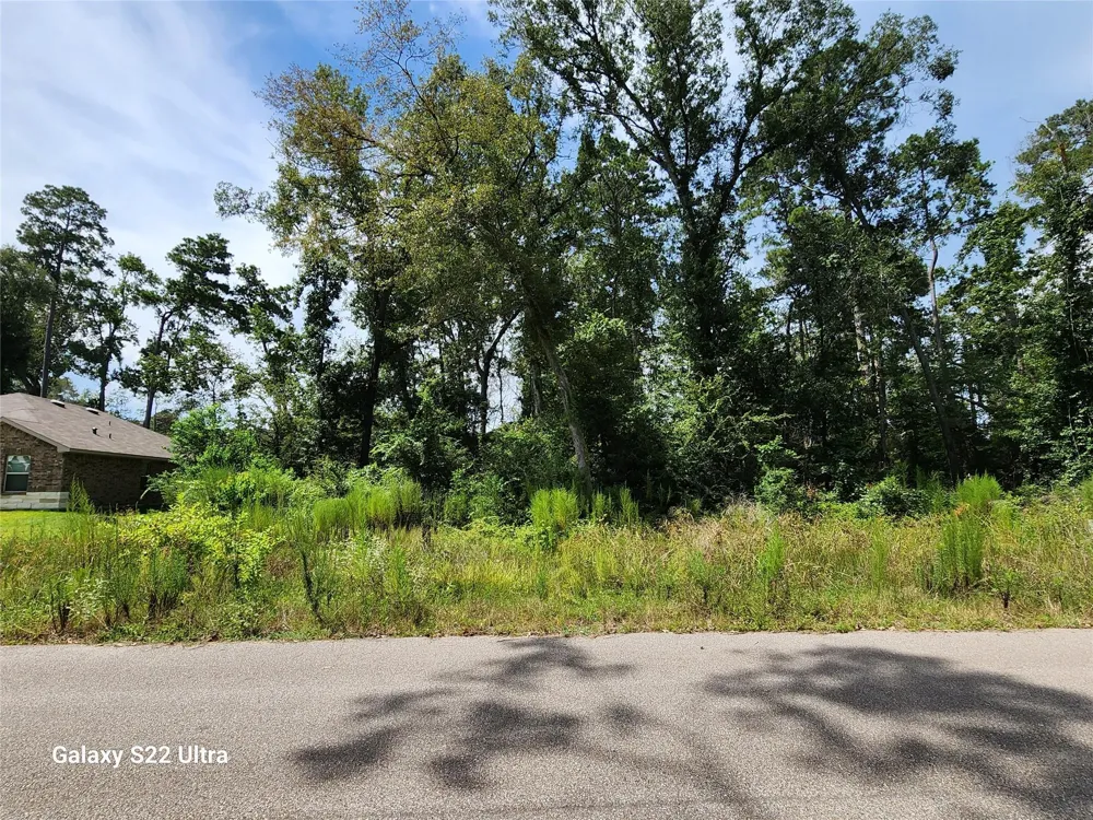 2751 N Colosseum Roman Forest, TX 77357