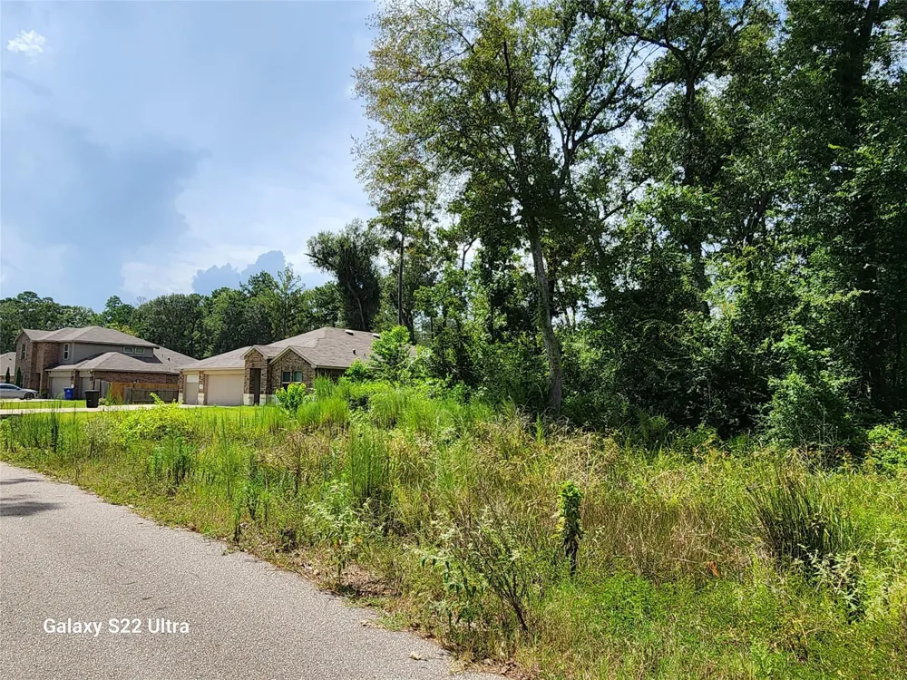 2751 N Colosseum Roman Forest, TX 77357