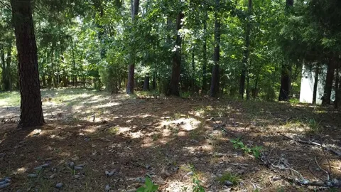 45 Wildmeade Court