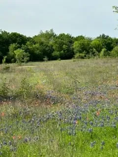 35 Longview Creek Trail