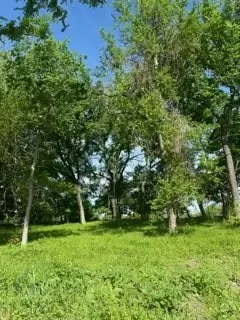 35 Longview Creek Trail Itasca, TX 76055
