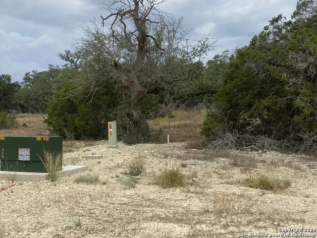 644 ANNABELLE AVE Bulverde, TX 78163