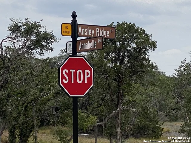 644 ANNABELLE AVE Bulverde, TX 78163