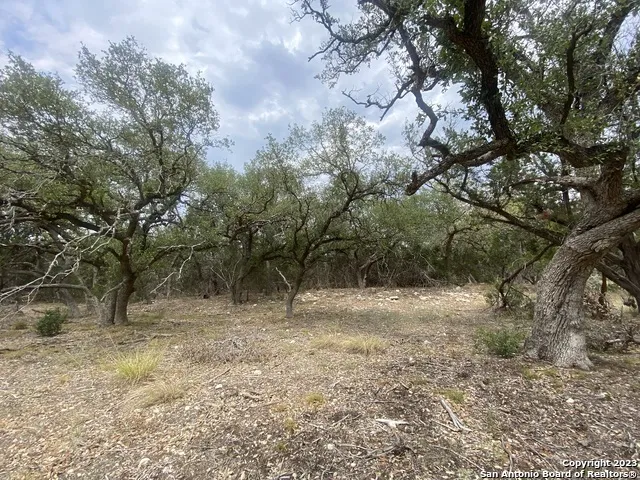 644 ANNABELLE AVE Bulverde, TX 78163