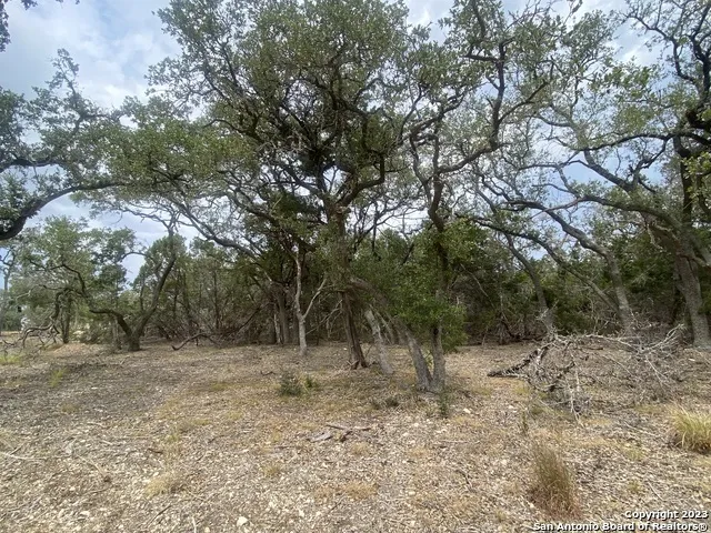 644 ANNABELLE AVE Bulverde, TX 78163