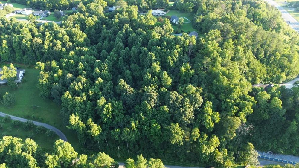 89 Ashley Lane Dayton, TN 37321