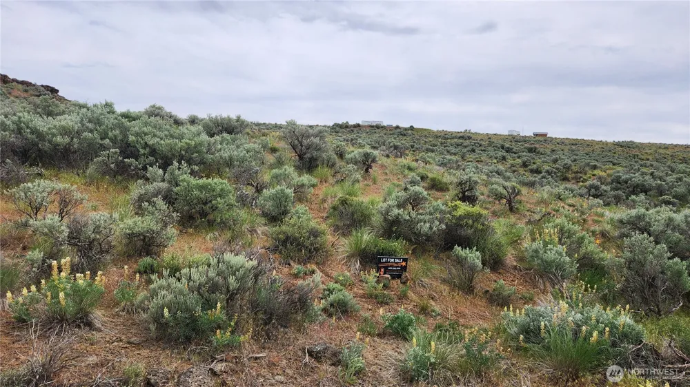 0 Lot 9 Ashcroft Drive Ephrata, WA 98823