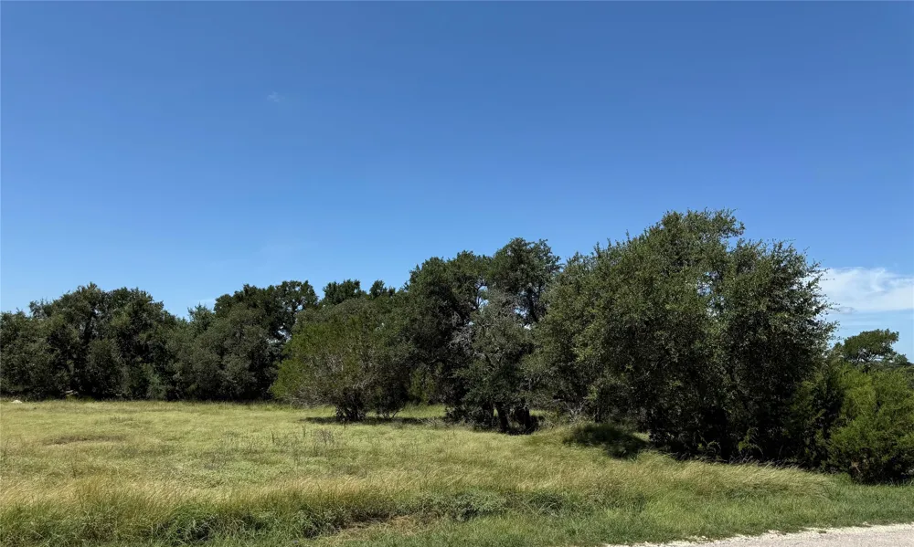 113 John Bird Street Blanco, TX 78606