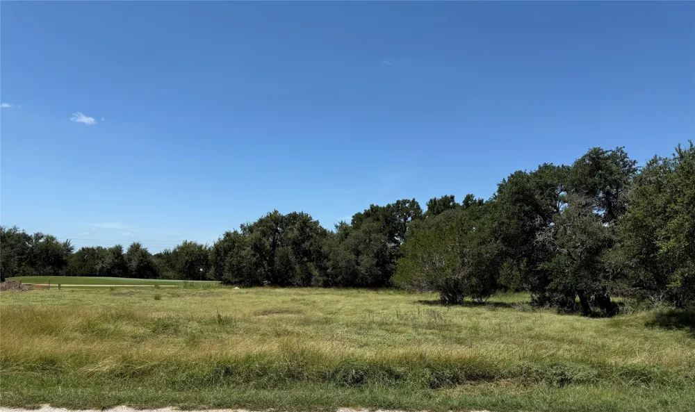 113 John Bird Street Blanco, TX 78606