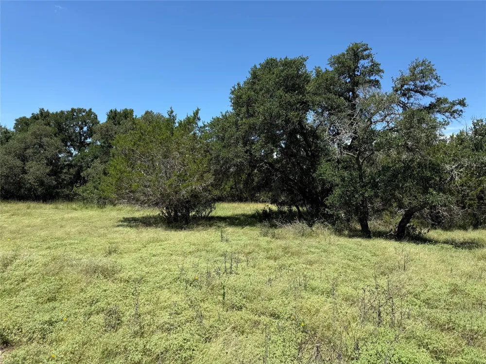 113 John Bird Street Blanco, TX 78606