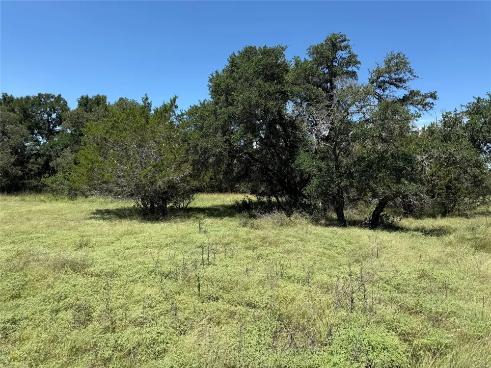 113 John Bird Street Blanco, TX 78606