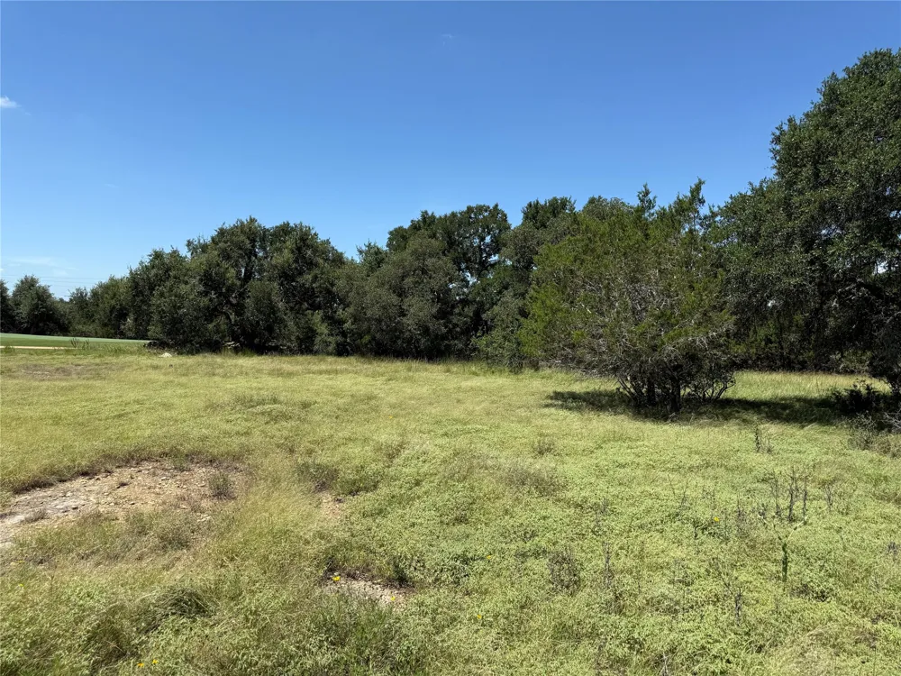 113 John Bird Street Blanco, TX 78606