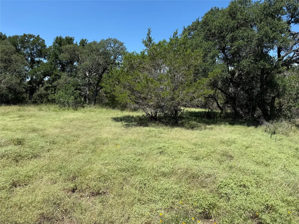 113 John Bird Street Blanco, TX 78606