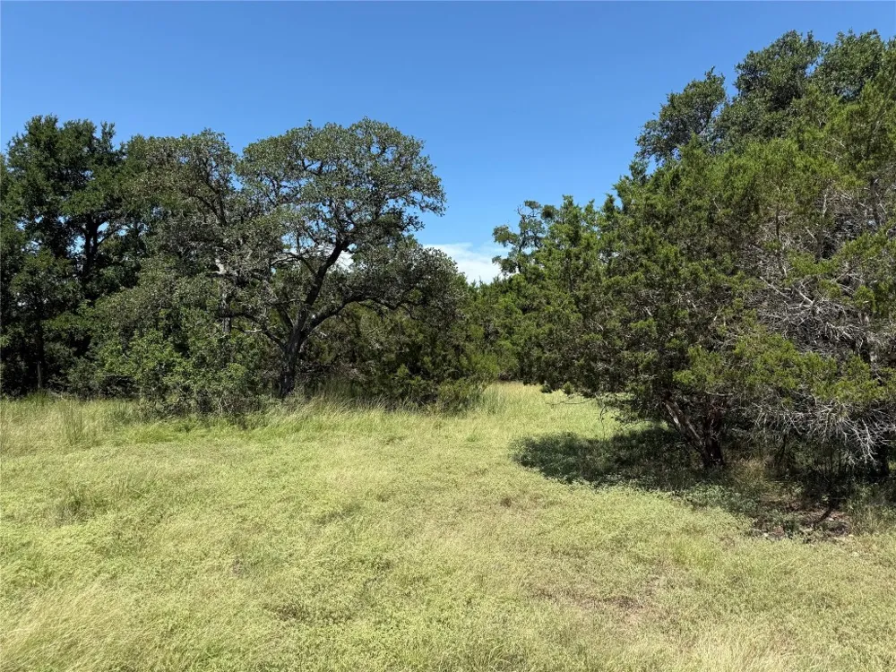 113 John Bird Street Blanco, TX 78606