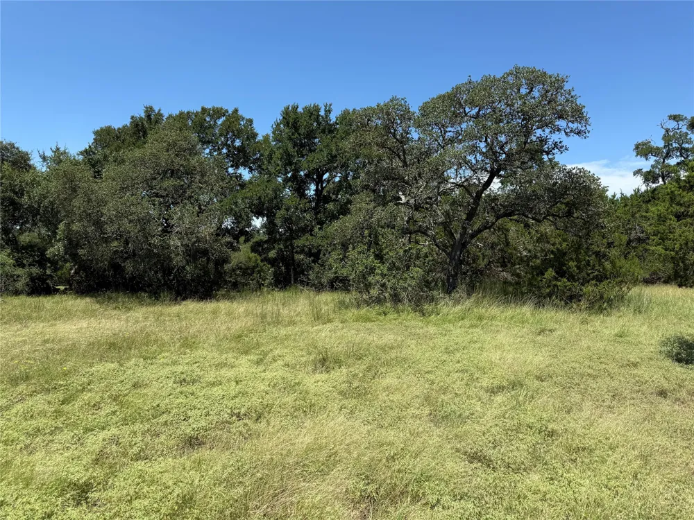 113 John Bird Street Blanco, TX 78606