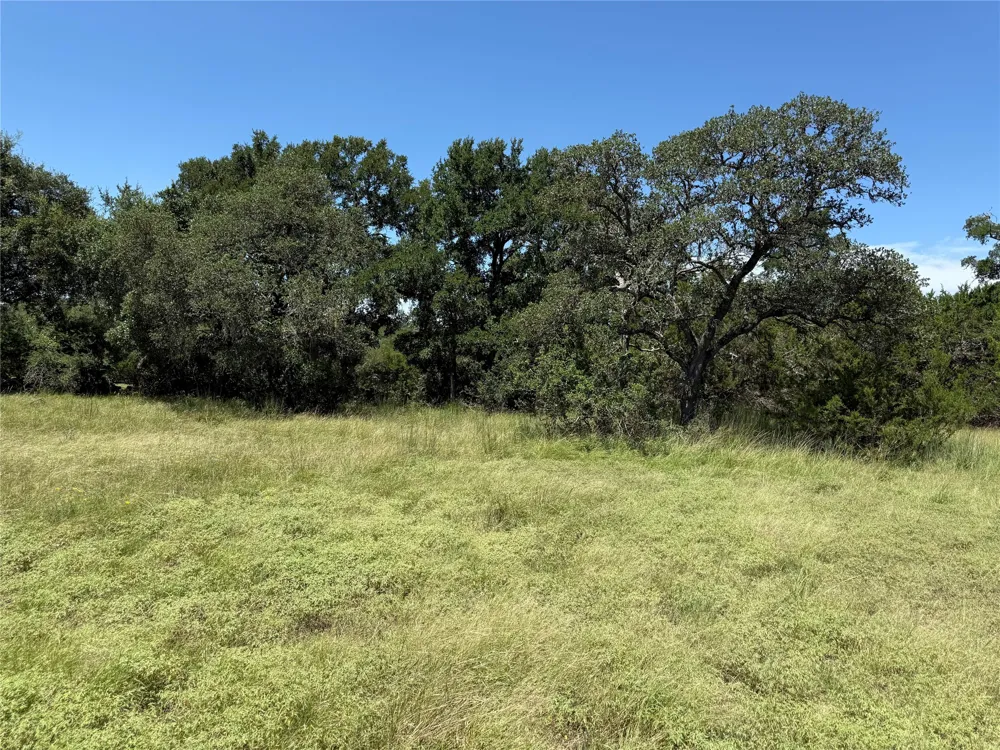 113 John Bird Street Blanco, TX 78606
