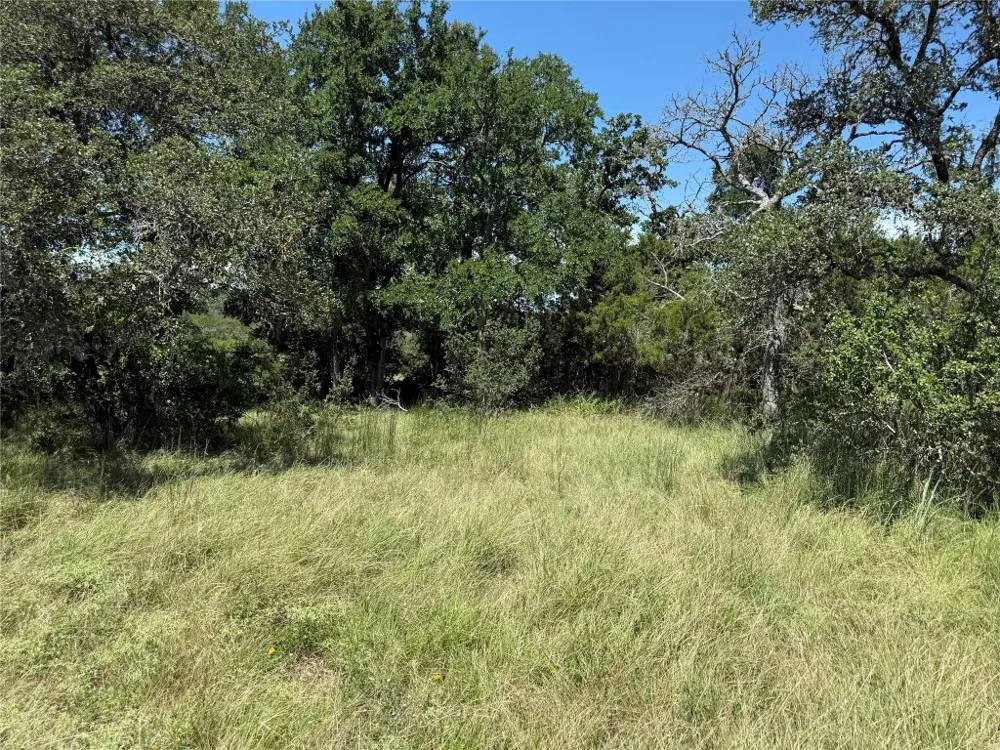 113 John Bird Street Blanco, TX 78606