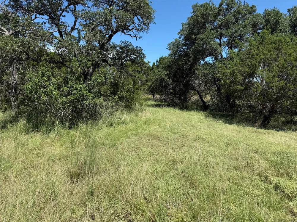 113 John Bird Street Blanco, TX 78606