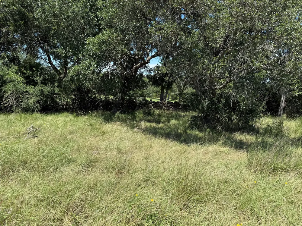 113 John Bird Street Blanco, TX 78606