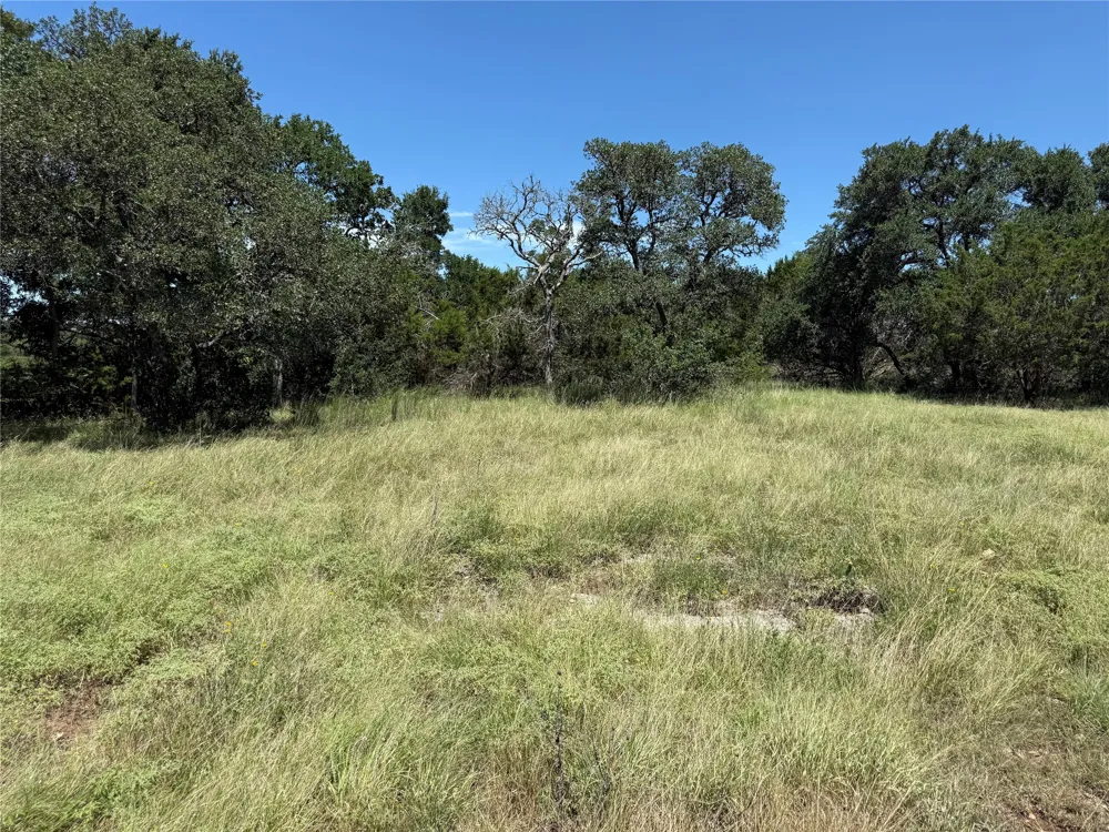 113 John Bird Street Blanco, TX 78606