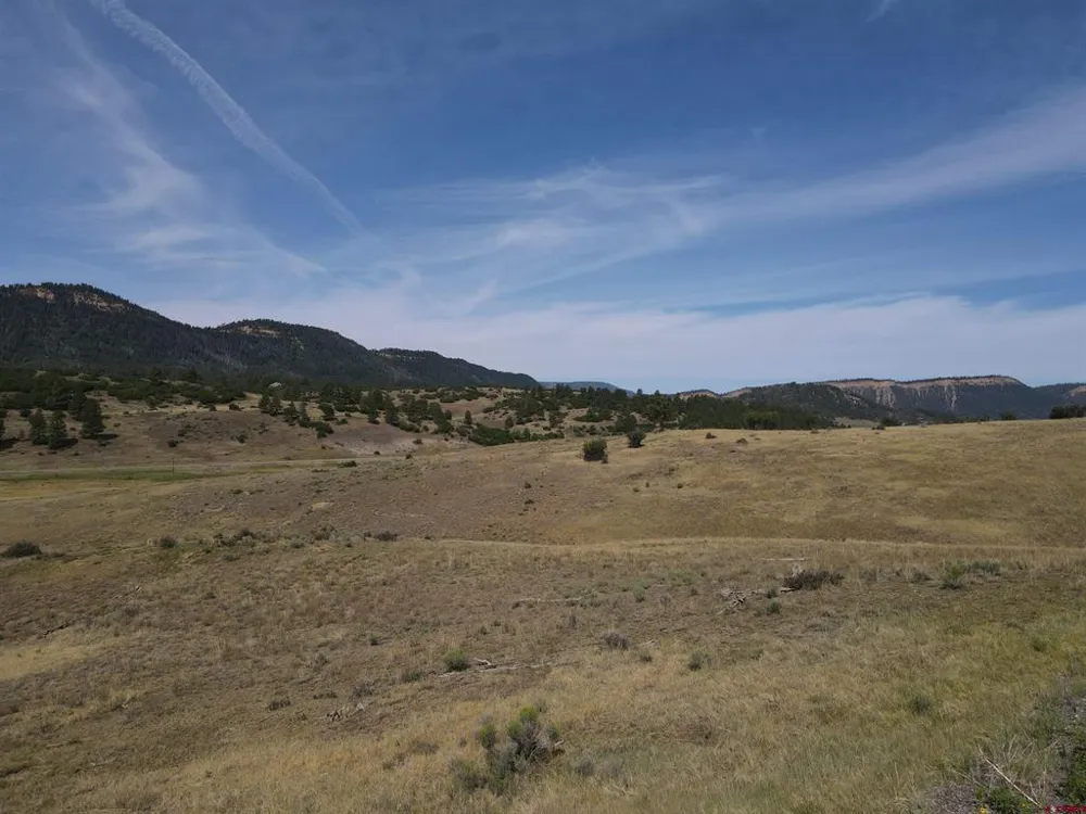 141 Spring Creek Circle Chromo, CO 81128