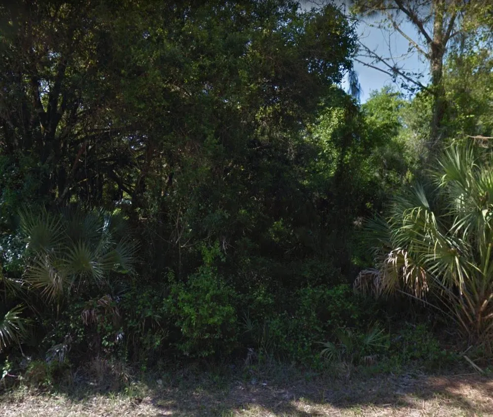 18113 LUSCAR AVENUE Port Charlotte, FL 33954