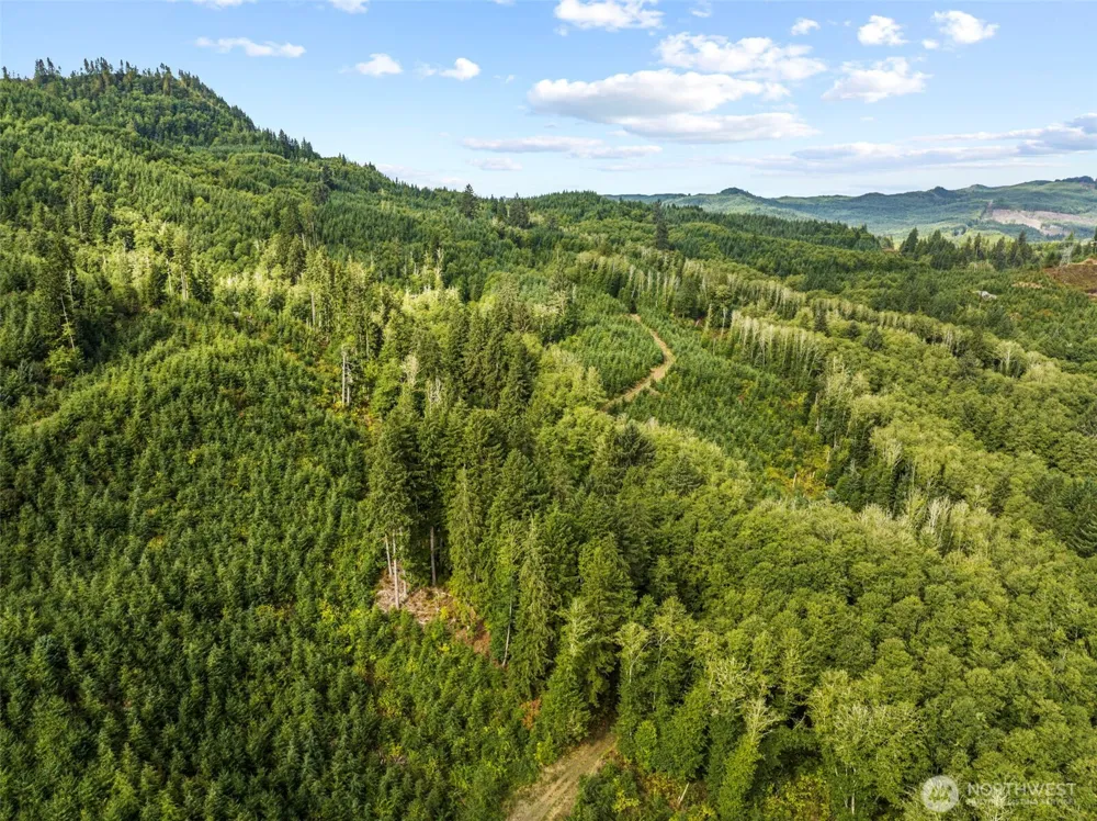 0 Lot B State Route 4 Highway Skamokawa, WA 98674