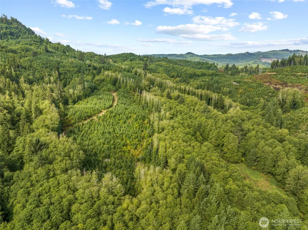 0 Lot B State Route 4 Highway Skamokawa, WA 98674