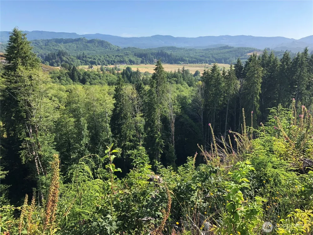 0 Lot B State Route 4 Highway Skamokawa, WA 98674