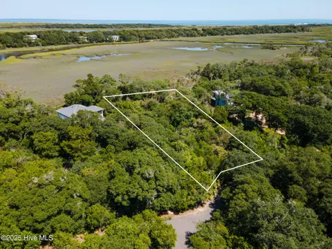 2025 Palmetto Cove