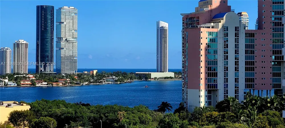 3300 NE 191 st #1207 Aventura, FL 33180