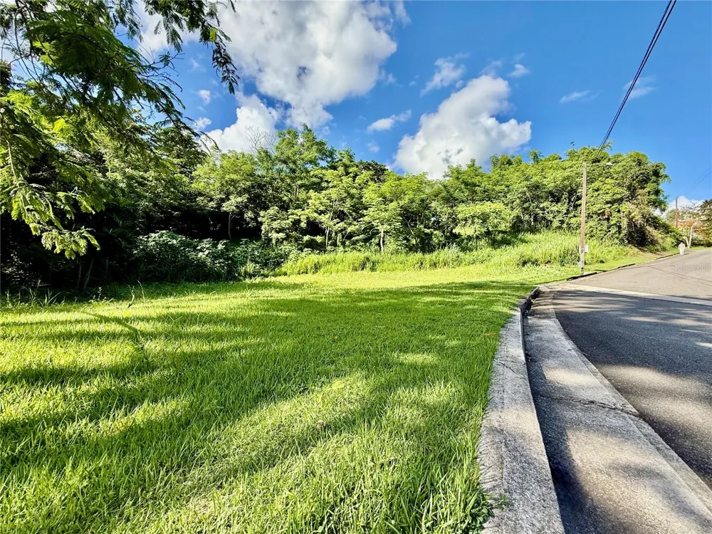 Riverside Gated Community RIVERSIDE STREET Guaynabo, PR 00971