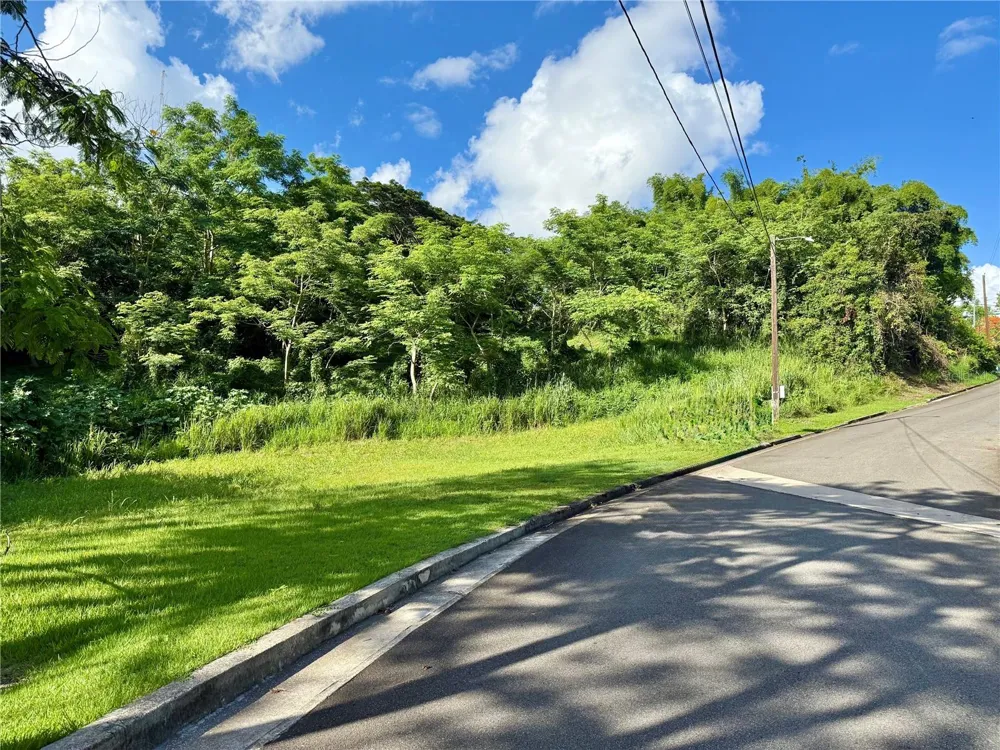 Riverside Gated Community RIVERSIDE STREET Guaynabo, PR 00971