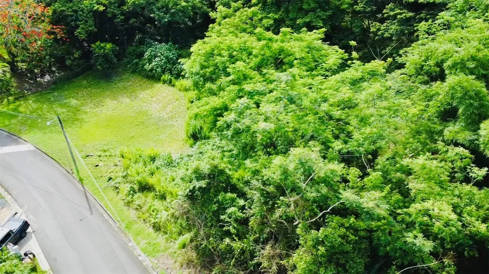 Riverside Gated Community RIVERSIDE STREET Guaynabo, PR 00971