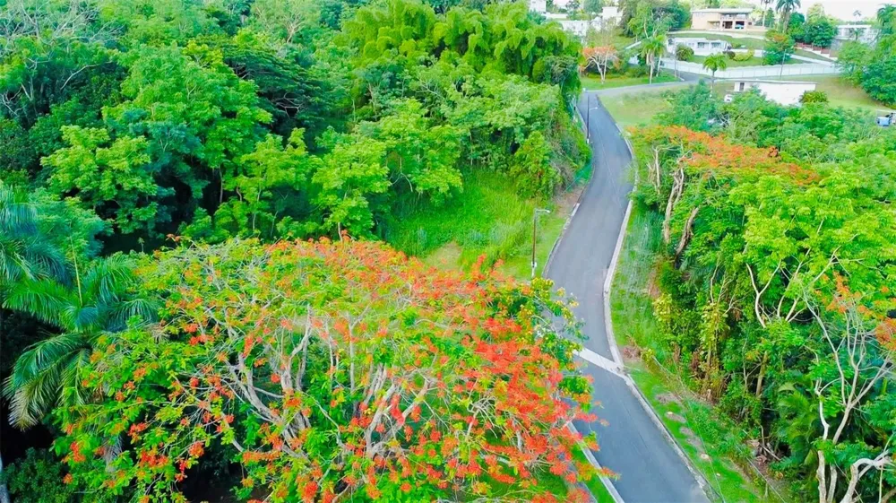 Riverside Gated Community RIVERSIDE STREET Guaynabo, PR 00971