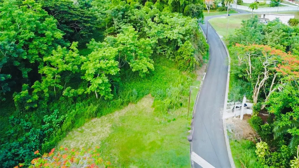 Riverside Gated Community RIVERSIDE STREET Guaynabo, PR 00971