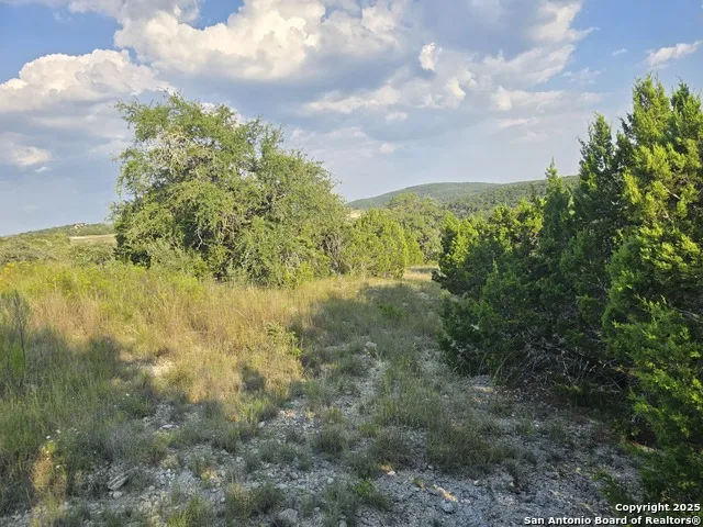 479 Canyon Rim Helotes, TX 78023