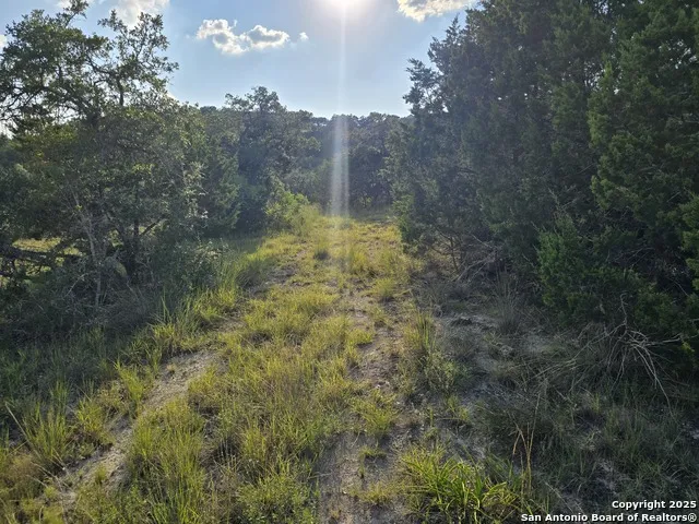 479 Canyon Rim Helotes, TX 78023