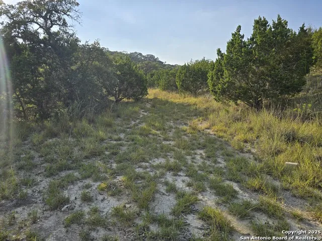 479 Canyon Rim Helotes, TX 78023