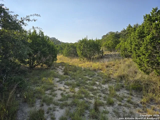 479 Canyon Rim Helotes, TX 78023