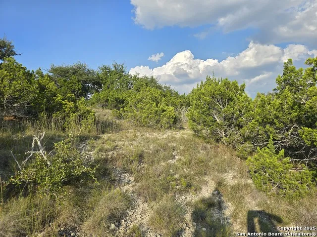 479 Canyon Rim Helotes, TX 78023