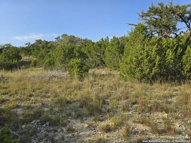 479 Canyon Rim Helotes, TX 78023