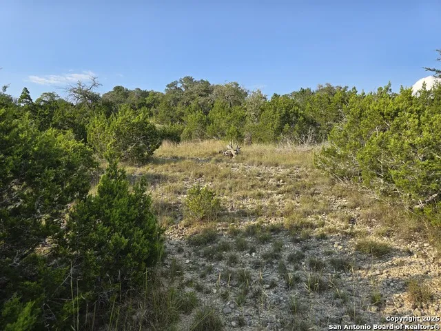 479 Canyon Rim Helotes, TX 78023