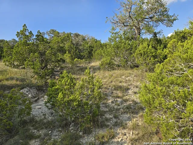 479 Canyon Rim Helotes, TX 78023