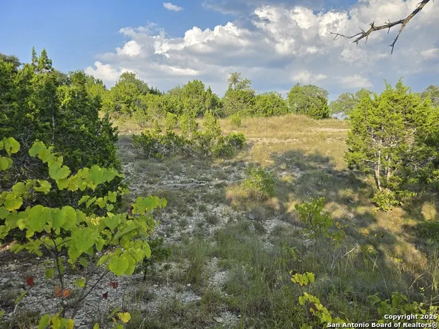 479 Canyon Rim Helotes, TX 78023