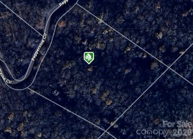 0000 Peppervine Circle #98 Rosman, NC 28772