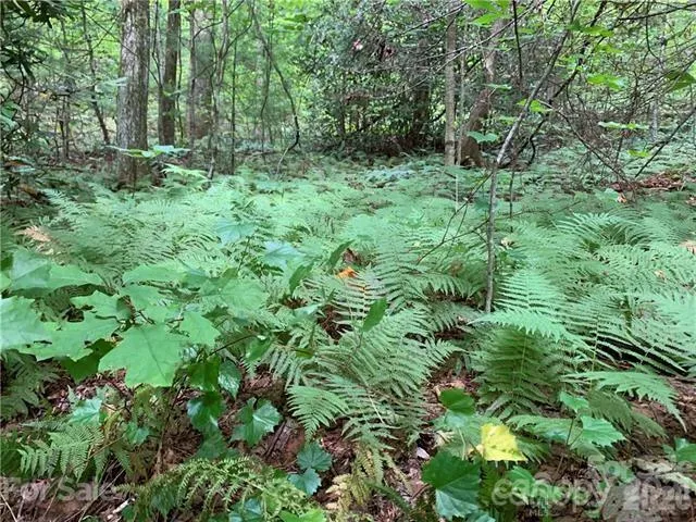 0000 Peppervine Circle #98 Rosman, NC 28772