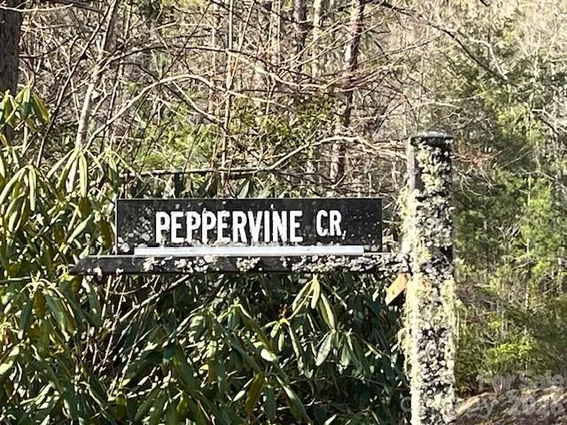 0000 Peppervine Circle #98 Rosman, NC 28772