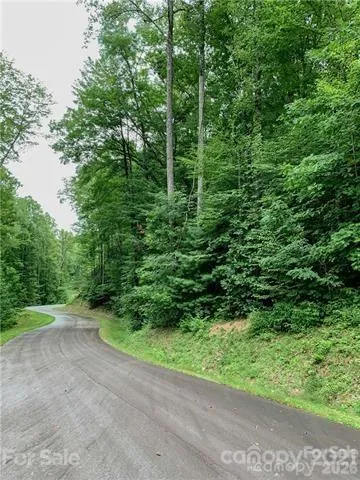 0000 Peppervine Circle #98 Rosman, NC 28772